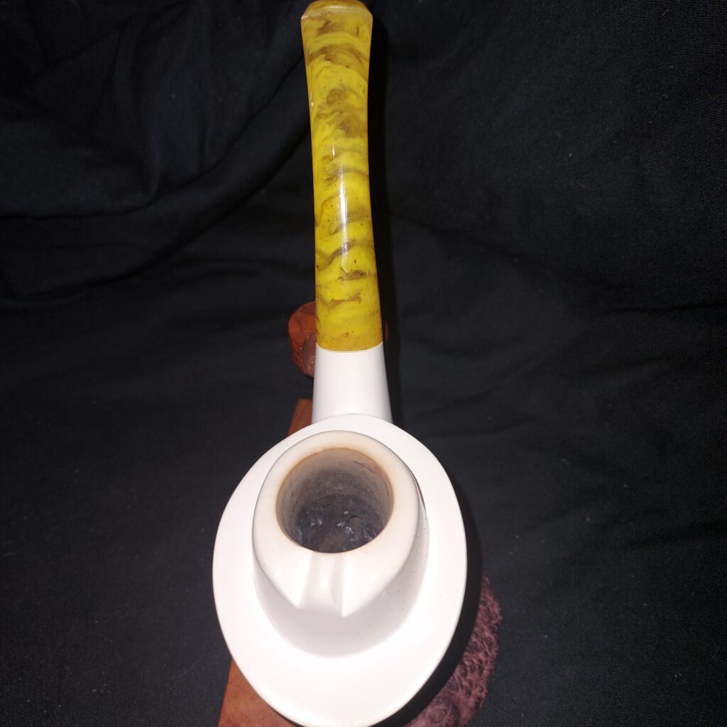 BOLGI Teddy Roosevelt